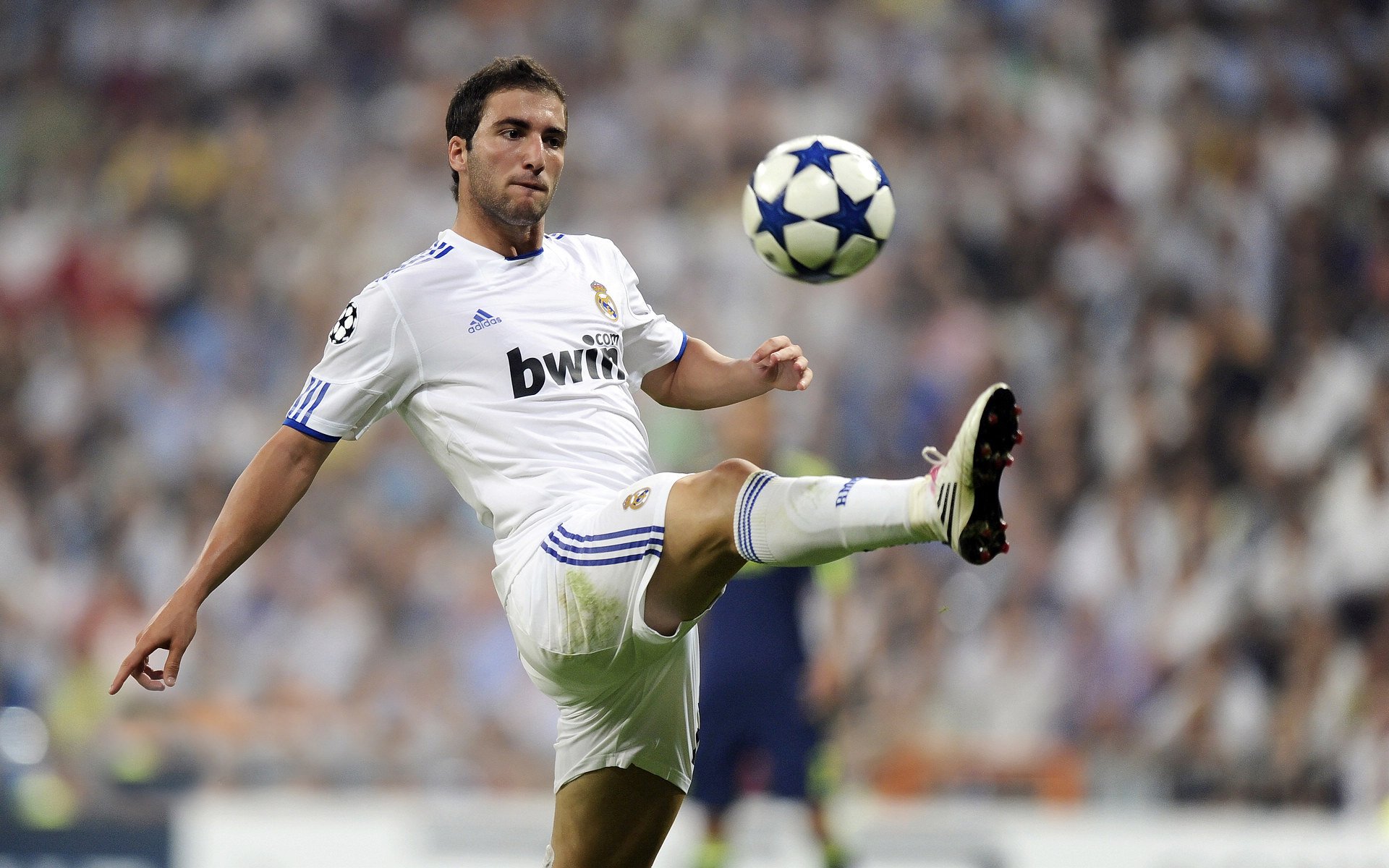 未来已来！西班牙小将闪耀奥运赛场，西班牙奥运冠军